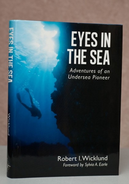 Eyes in the Sea, front cover